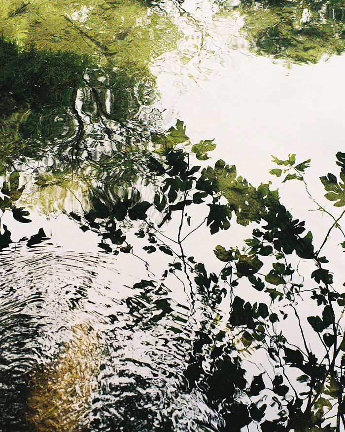 “Form” By Laury Socha