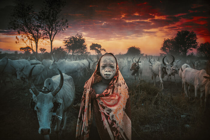 A young person with painted face in traditional attire among cattle at sunset, a striking photo from the 2025 Chromatic Awards.