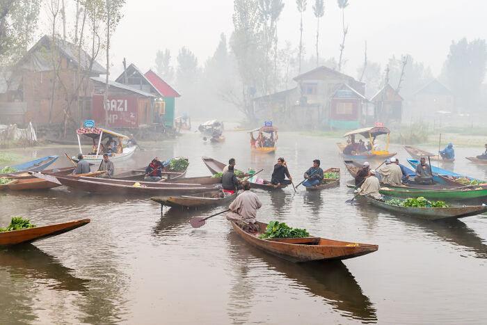 “Morning At The Floating Market” By Emily M. Wilson