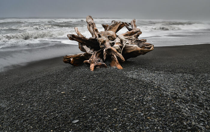 “Headed Out To Sea” By Rovert Nowak