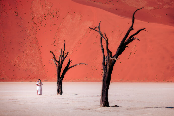 A person in a white dress stands between two d**d trees in a desert landscape with red dunes, from the 2025 Chromatic Awards.