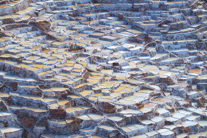 “Maras Mosaic” By Alexandre Brisson
