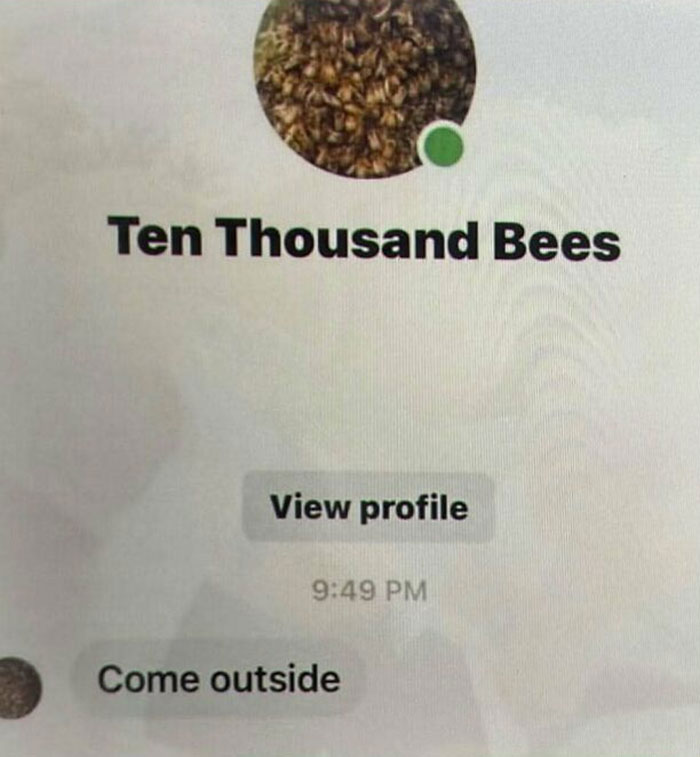 A phone screen showing a chat with 'Ten Thousand Bees' saying 'Come outside'. A chaotic and unhinged pic.