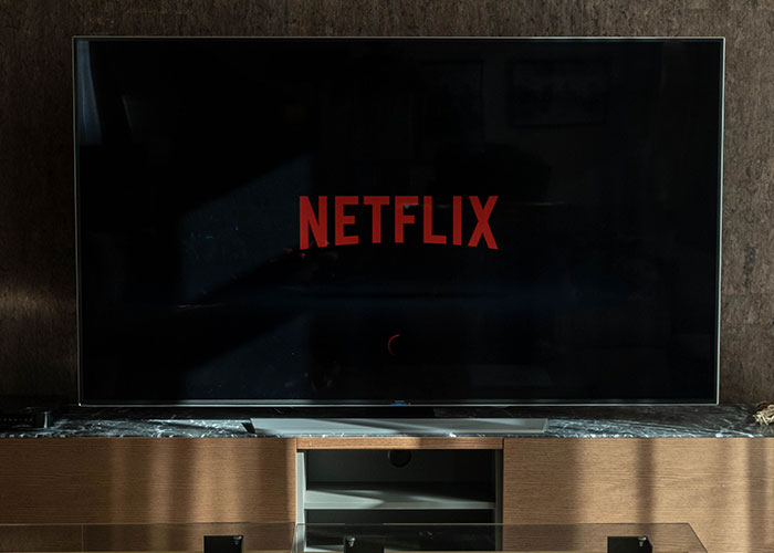 Netflix screen on TV representing wild secrets in digital entertainment
