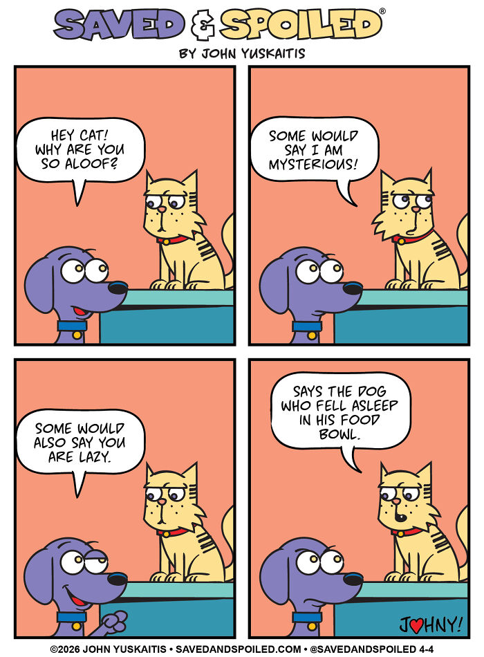 Dog questions aloof cat who calls itself mysterious in dog and cat comics