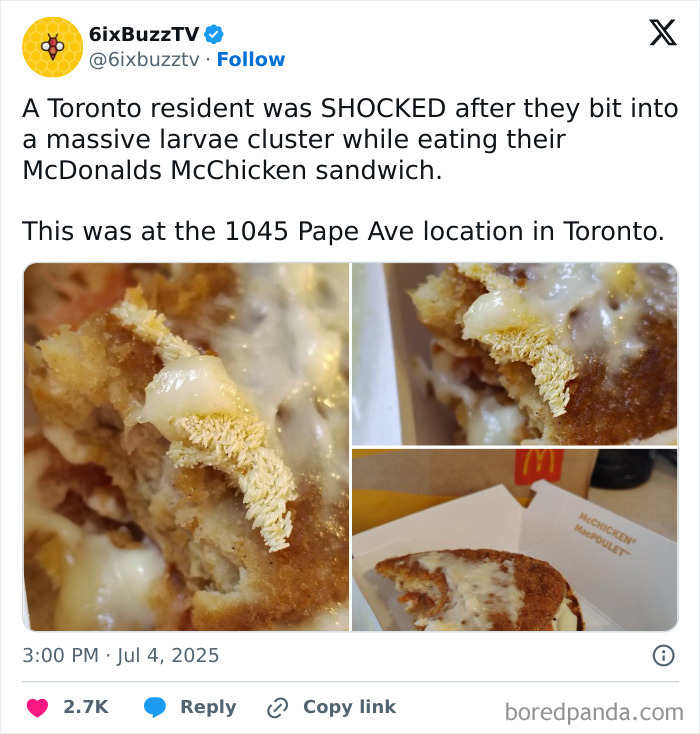 Larvae cluster found inside McDonalds McChicken sandwich in Toronto