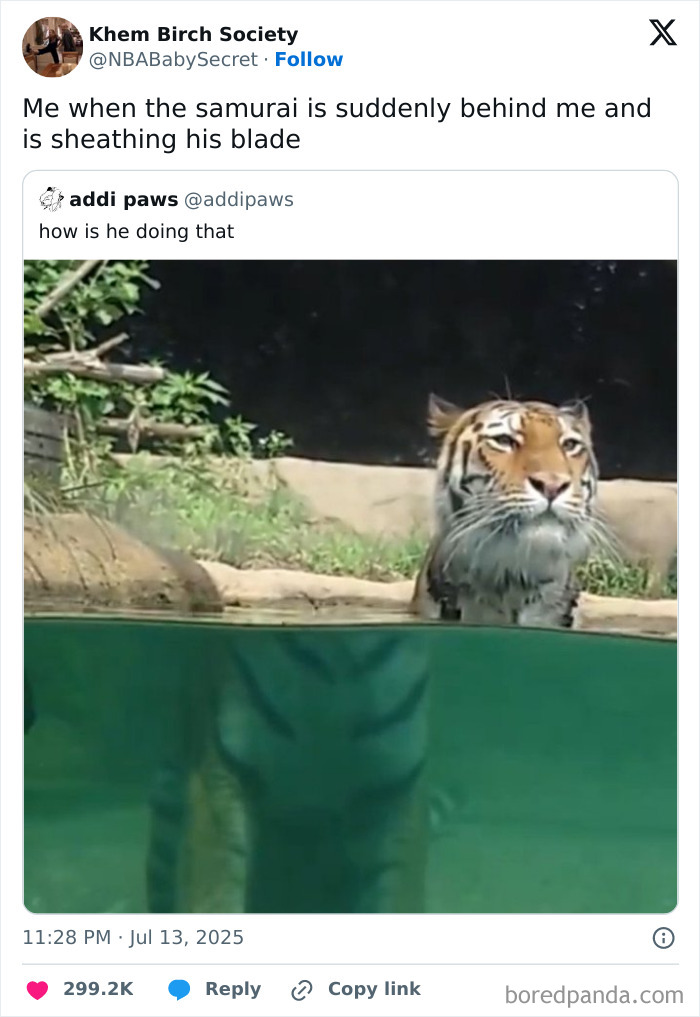 A tiger partially submerged in water, looking directly ahead, with its reflection visible below the surface, as part of chaotic and unhinged pics.