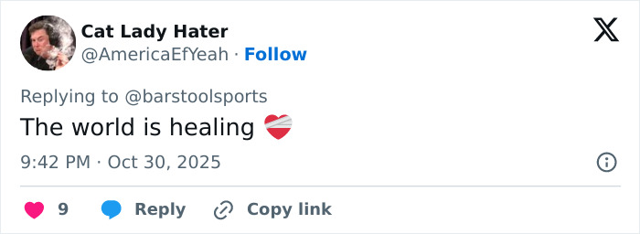 A social media post from Cat Lady Hater about a Gen Z fashion trend: The world is healing, Oct 30, 2025.