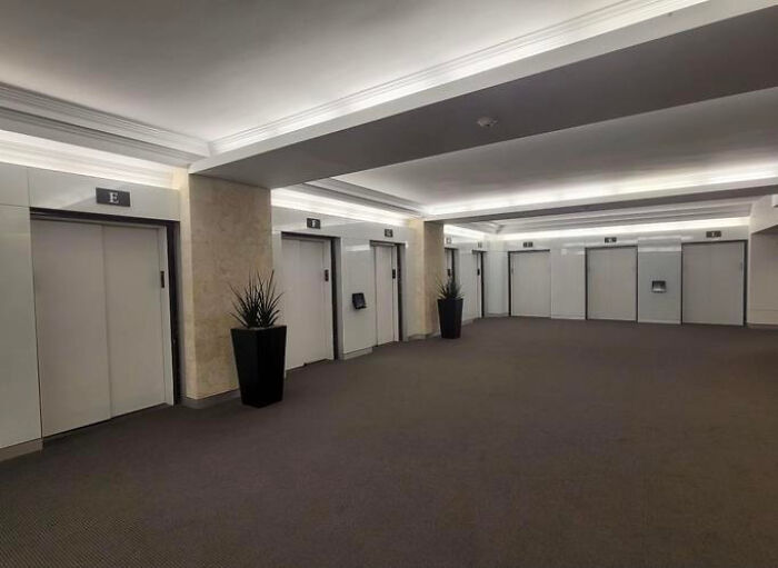 A wide hallway with several white elevator doors and potted plants, representing a modern liminal space.