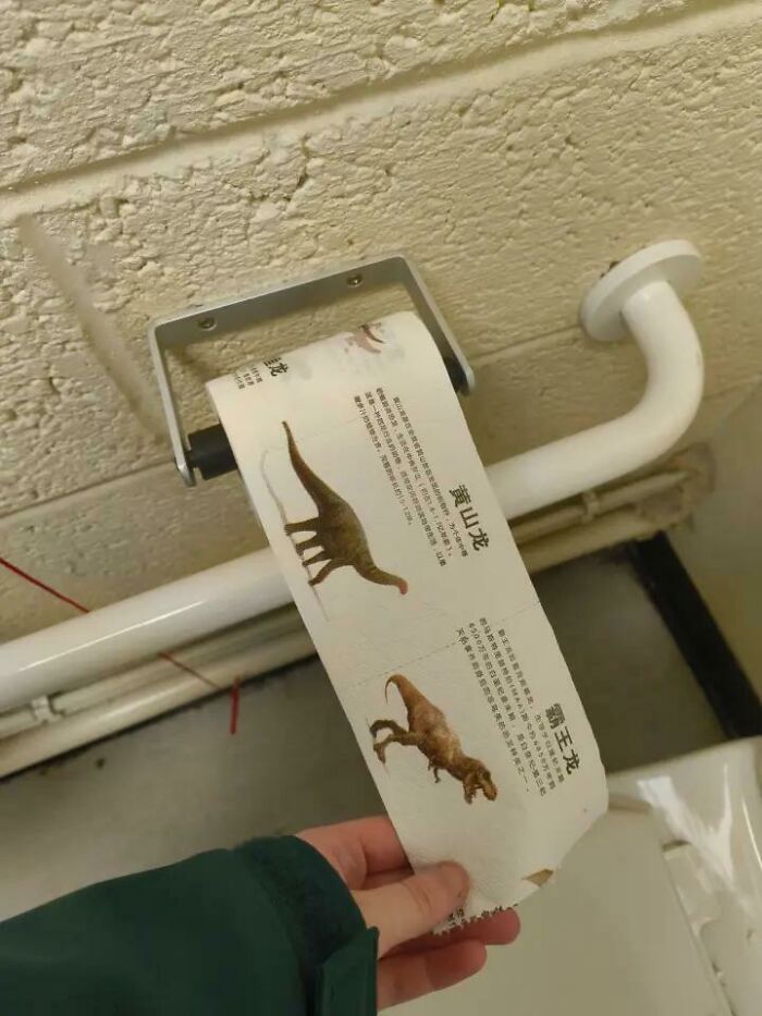 Bizarre dinosaur-themed toilet paper, an unusual item that raises questions.