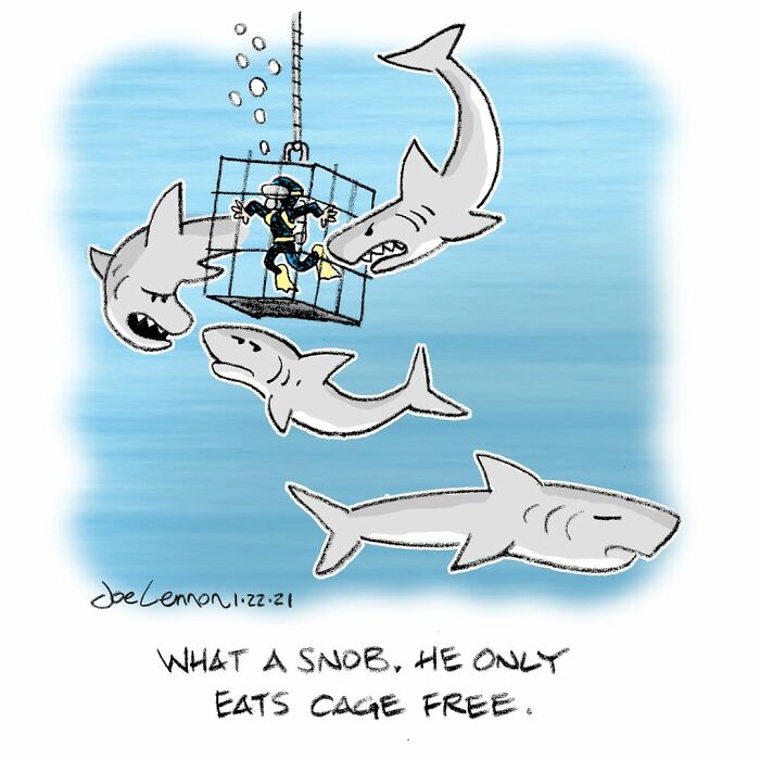 One-panel comic depicting a diver in a cage surrounded by sharks with main SEO keyword life’s weird moments
