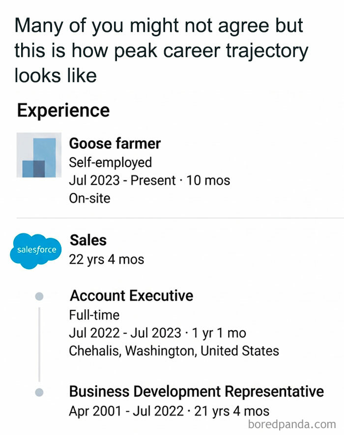 Funny sales career trajectory meme showing experience from business development to sales to goose farmer