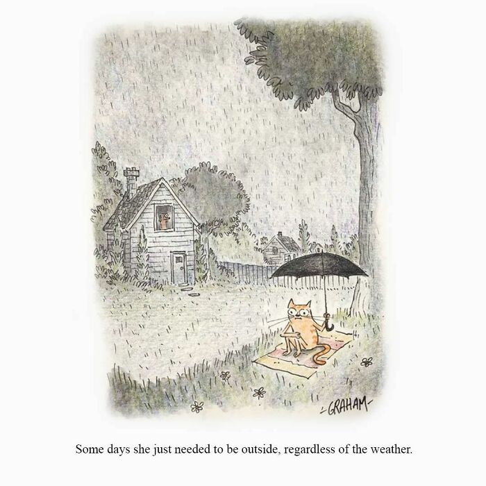 Subtle humor comic showing a cat sitting outside in rain holding an umbrella