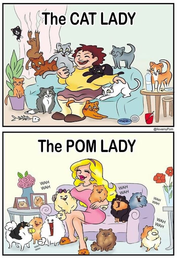 These Hilarious Comics Perfectly Capture What Life Is Like When You’re Obsessed With Pomeranians (40 New Comics)