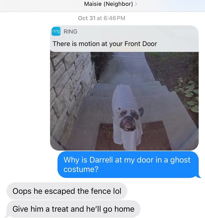 A text message conversation with an image of a dog in a ghost costume at a front door, part of funny animal content.