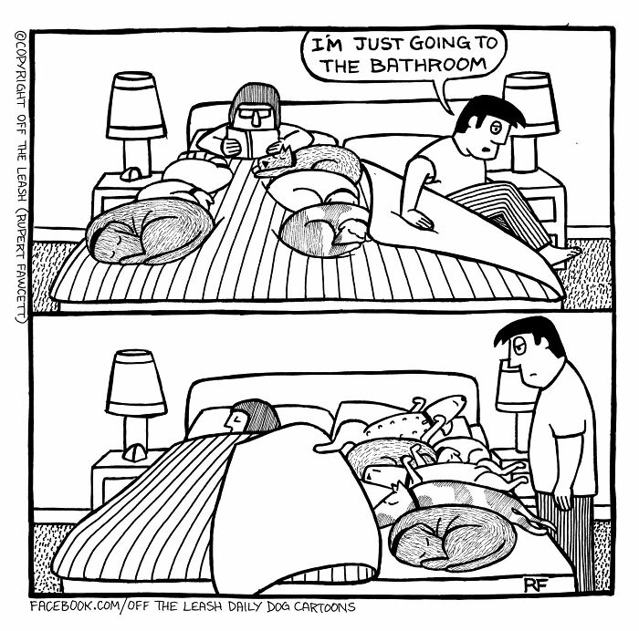 33 New “Off The Leash” Comics Perfectly Capture What Dogs Are Really Thinking