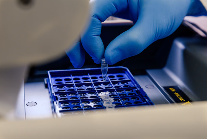 A gloved hand inserting a small tube into a tray for DNA testing, showing the scientific process.
