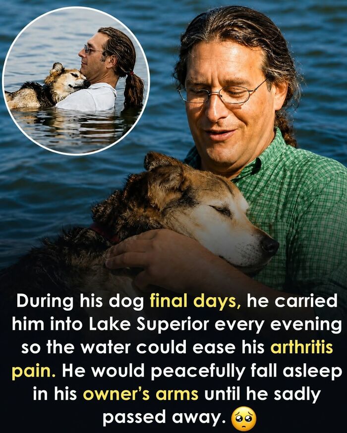 26 Animal Stories So Wholesome, They Might Just Be The Best Thing You See Today