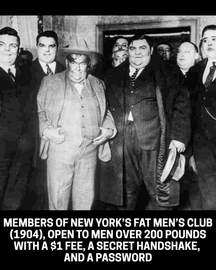 A group of men in old suits, members of New York's Fat Men's Club, an interesting historical photo.