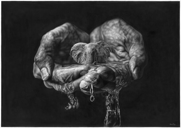 Surreal pencil drawing of hands holding water with an elephant emerging