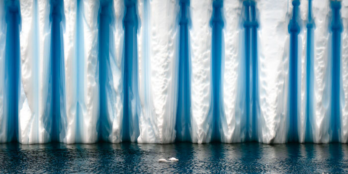 This Photographer Captures The Hidden Patterns That Make Nature Look Like Art (20 Images)