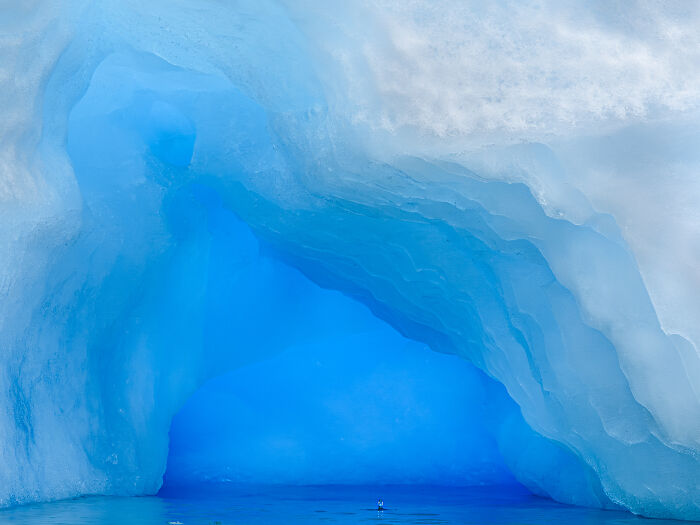 This Photographer Captures The Hidden Patterns That Make Nature Look Like Art (20 Images)