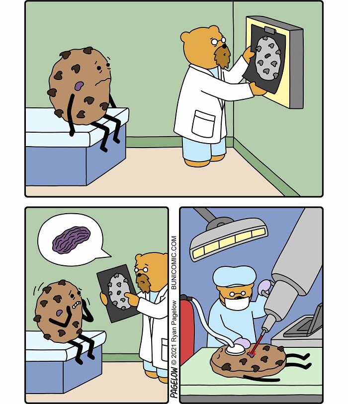 These Bear Characters Star In Hilariously Twisted Comics That Turn Everyday Logic Completely Upside Down (40 Pics)