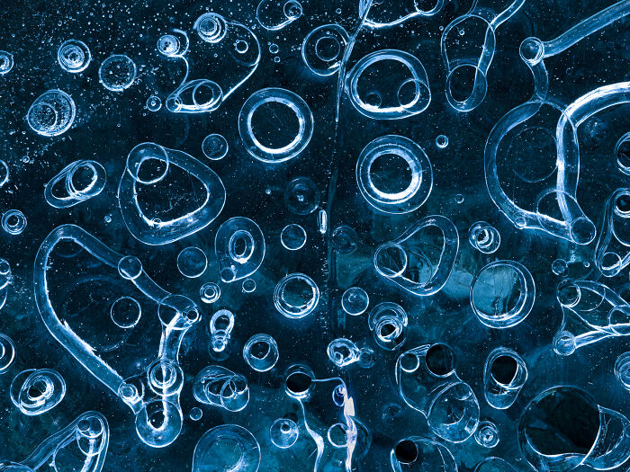 This Photographer Captures The Hidden Patterns That Make Nature Look Like Art (20 Images)