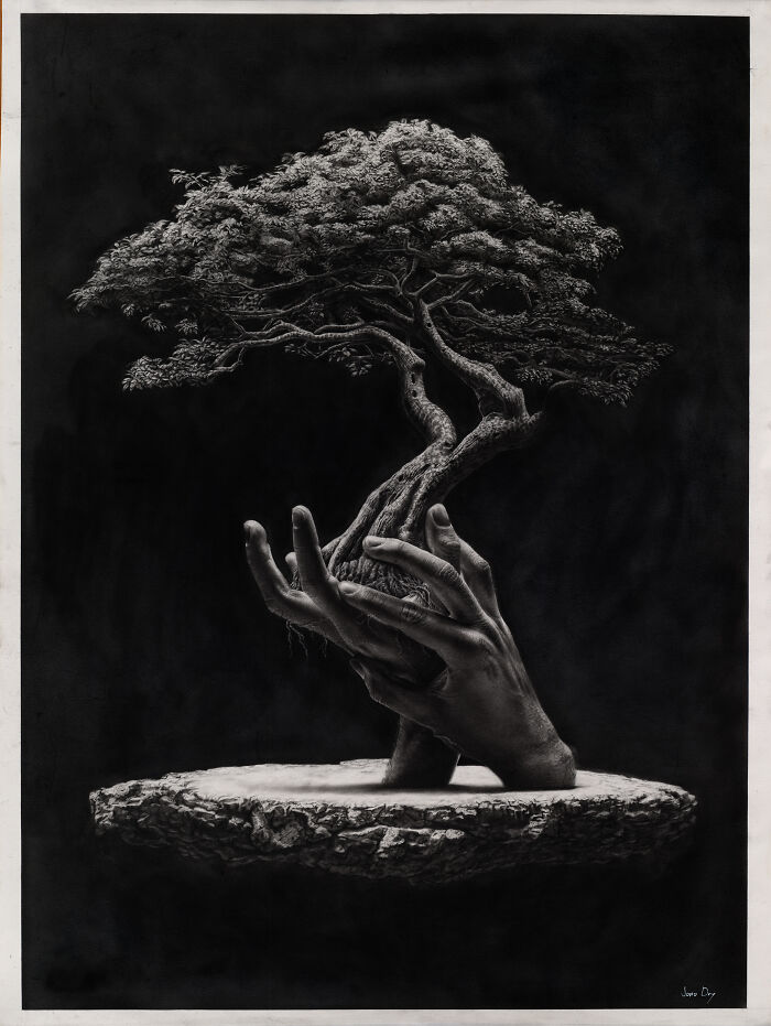Surreal pencil drawing of hands holding bonsai tree growing from wooden base by Jono Dry