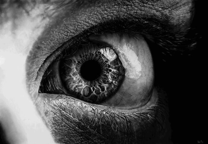 Surreal pencil drawing of a detailed human eye with intricate iris patterns by Jono Dry