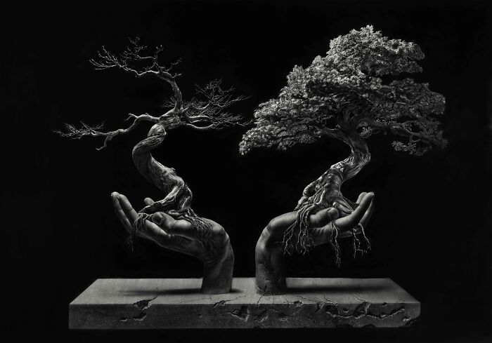 Surreal pencil drawing of two hands holding miniature twisted bonsai trees by Jono Dry