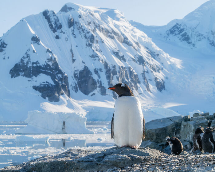 This Photographer Captured 42 Dreamlike Images Of Antarctica’s Beautiful Sunsets, Frozen Peaks, And Endless Plains