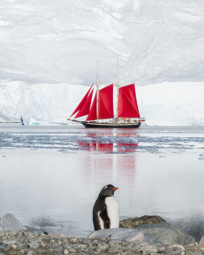 This Photographer Captured 42 Dreamlike Images Of Antarctica’s Beautiful Sunsets, Frozen Peaks, And Endless Plains