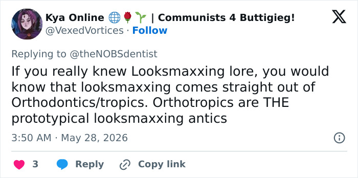 Looksmaxxing explained as rooted in orthodontics and orthotropics on social media Looksmaxxing explained as rooted in orthodontics and orthotropics on social media