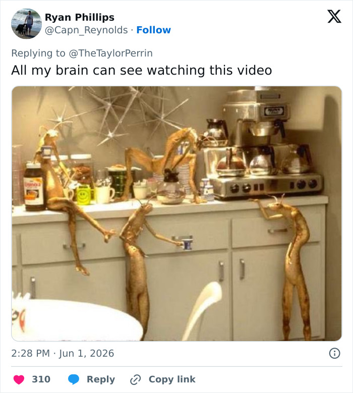 Social media meme with humorous kitchen scene in reply to video Social media meme with humorous kitchen scene in reply to video