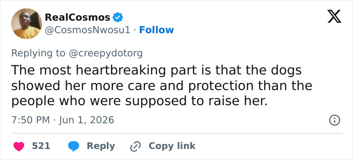 Tweet from RealCosmos discussing a girl raised by dogs. The tweet highlights the dogs care and protection. Tweet from RealCosmos discussing a girl raised by dogs. The tweet highlights the dogs care and protection.