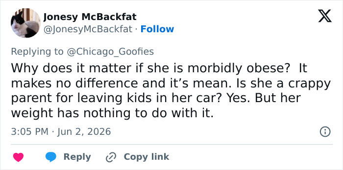 Tweet defends parent, says weight irrelevant to leaving kids in car Tweet defends parent, says weight irrelevant to leaving kids in car