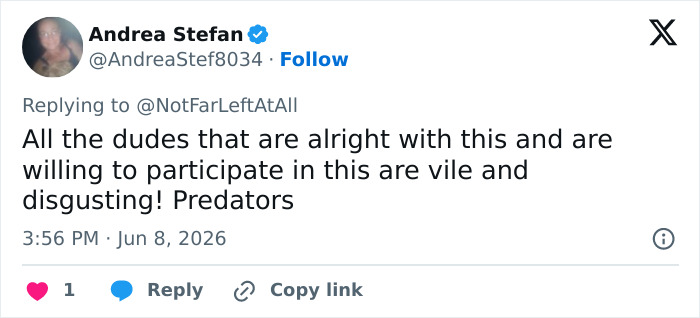 Tweet calling men vile predators in Bonnie Blue baby shower reaction