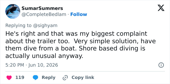 Tweet discussing the unusual nature of shore-based diving in the movie Tweet discussing the unusual nature of shore-based diving in the movie