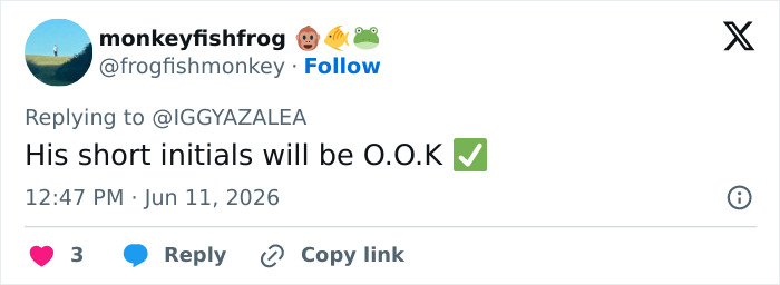 Social media user jokes about Iggy Azalea son's initials being O.O.K Social media user jokes about Iggy Azalea son's initials being O.O.K