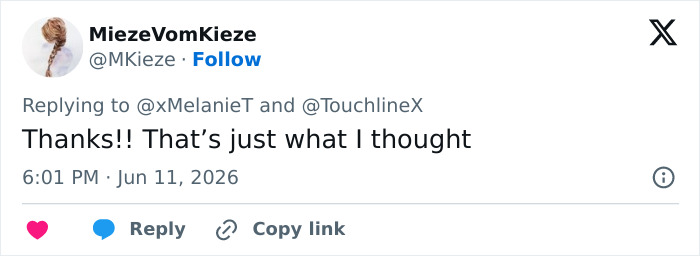 Tweet agreeing that appearance did not look like Shakira at World Cup