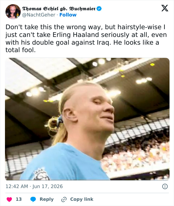 A tweet about the Norwegian Soccer Star's hairstyle, showcasing some of the hilarious comparisons. A tweet about the Norwegian Soccer Star's hairstyle, showcasing some of the hilarious comparisons.