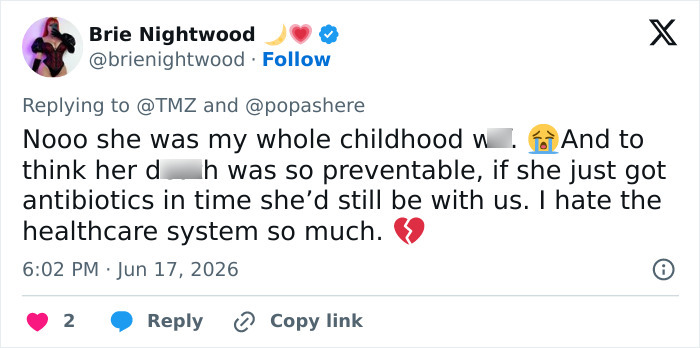 A tweet from Brie Nightwood lamenting the passing of The Ring and Lilo & Stitch star at 35, highlighting preventable causes.