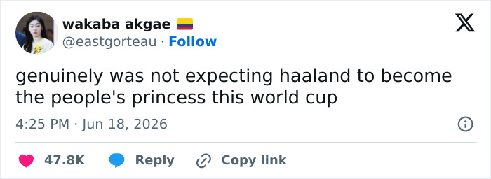 A tweet comparing the Norwegian Soccer Star to a princess, highlighting the hilarious comparisons about his hair. A tweet comparing the Norwegian Soccer Star to a princess, highlighting the hilarious comparisons about his hair.