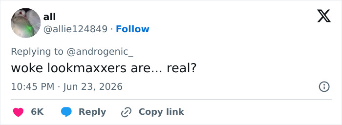 Screenshot of a tweet from all, questioning if woke looksmaxxers are real, referencing Androgenic's interaction. Screenshot of a tweet from all, questioning if woke looksmaxxers are real, referencing Androgenic's interaction.