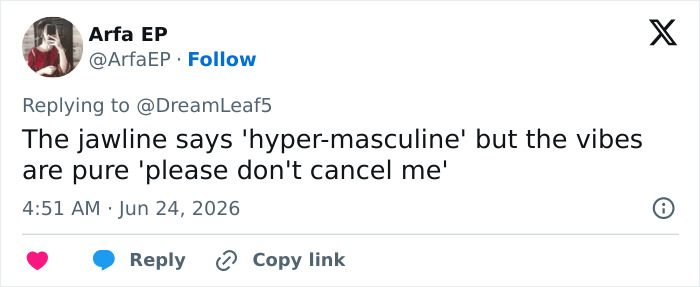 Screenshot of a netizen comment about Looksmaxxer Androgenics interaction with a trans woman: jawline hyper-masculine, vibes please dont cancel me. Screenshot of a netizen comment about Looksmaxxer Androgenics interaction with a trans woman: jawline hyper-masculine, vibes please dont cancel me.