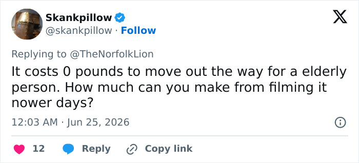 Skankpillow tweet: It costs 0 pounds to move out the way for an elderly person. How much can you make from filming it nowadays? Male Karen refusing to move for an 80YO woman.