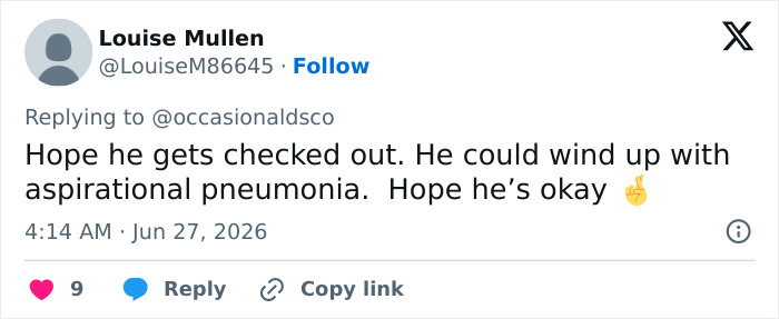 Tweet by Louise Mullen hoping Harry Styles gets checked out after choking on water and collapsing onstage.