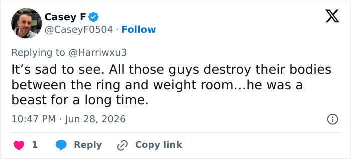 A social media comment discusses wrestlers damaging their bodies, alluding to John Cena's trouble walking and past physique.