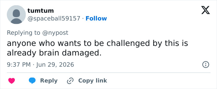 A social media comment from a user, tumtum, about brain damage caused by dangerous social media challenges.